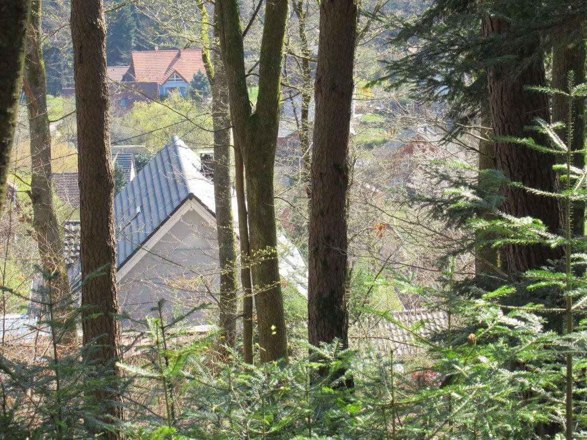Le Clos D'Aure. Oberhaslach Екстериор снимка