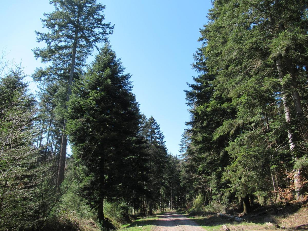 Le Clos D'Aure. Oberhaslach Екстериор снимка