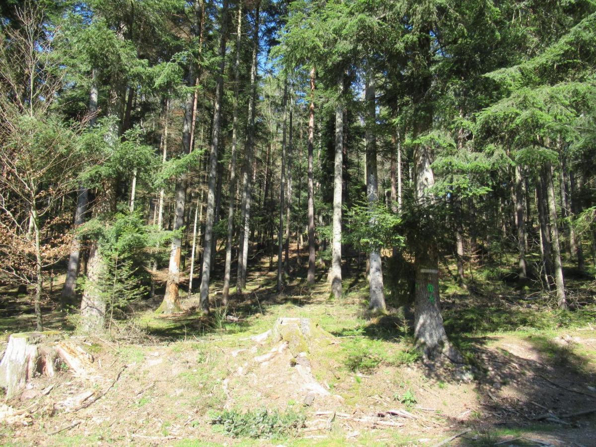 Le Clos D'Aure. Oberhaslach Екстериор снимка