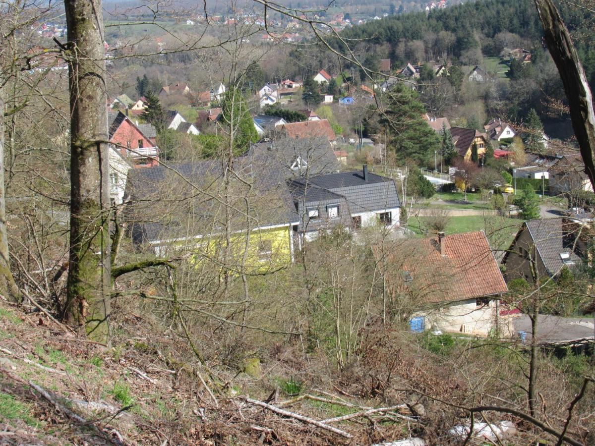 Le Clos D'Aure. Oberhaslach Екстериор снимка