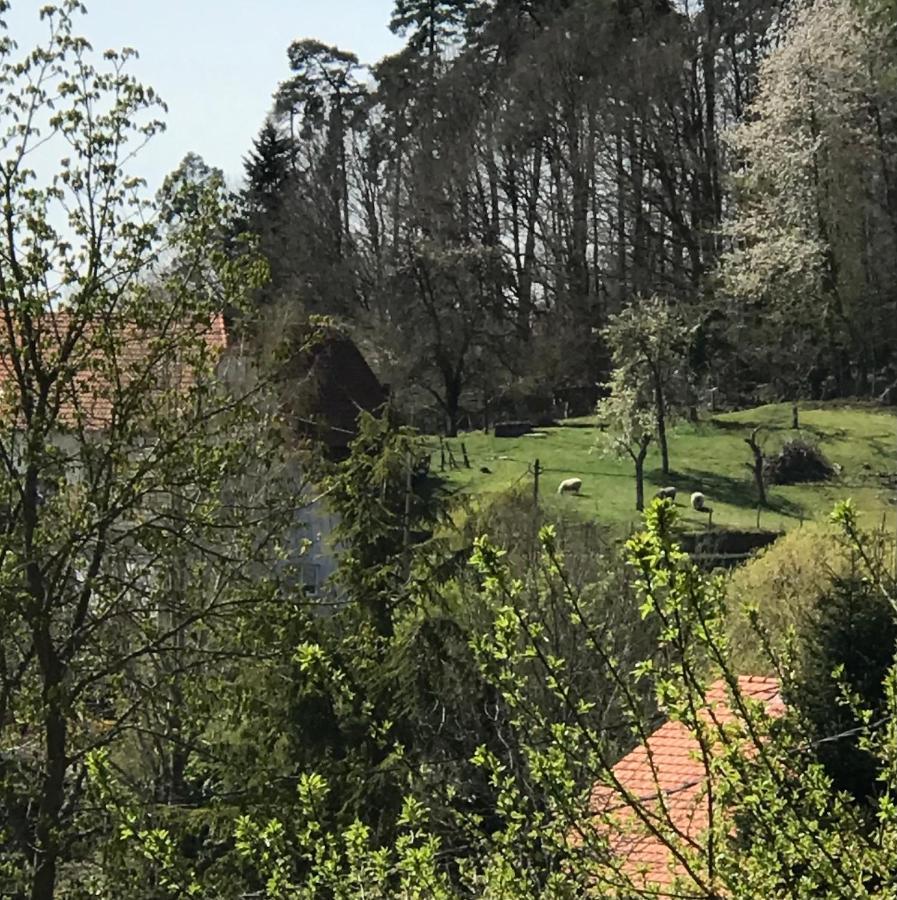 Le Clos D'Aure. Oberhaslach Екстериор снимка